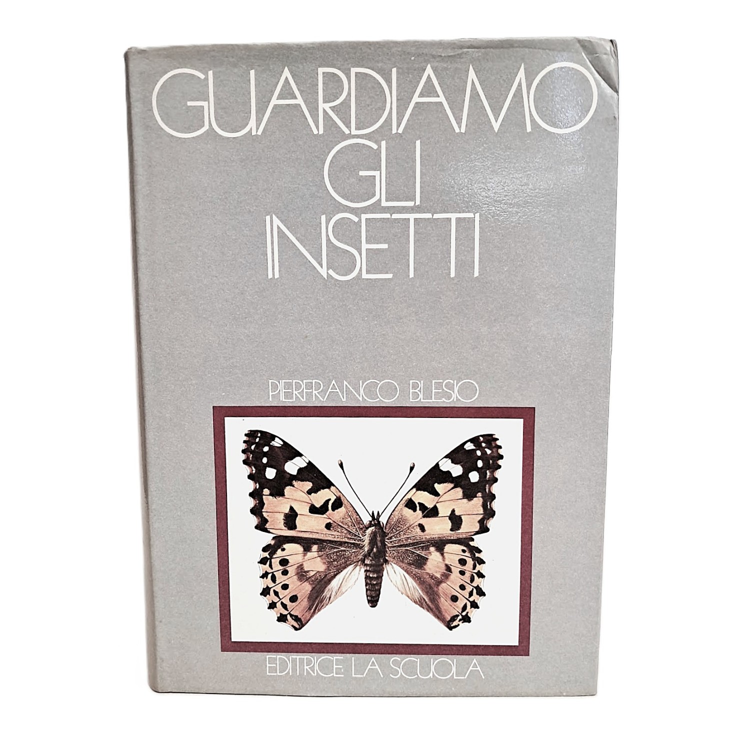 Guardiamo gli insetti