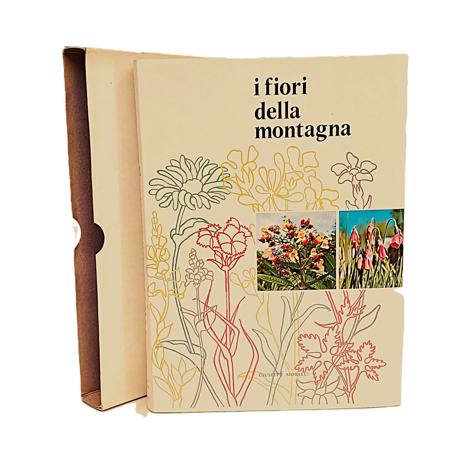 I fiori della montagna