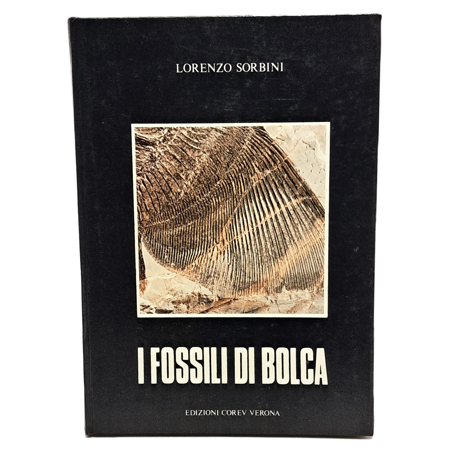 I fossili di Bolca