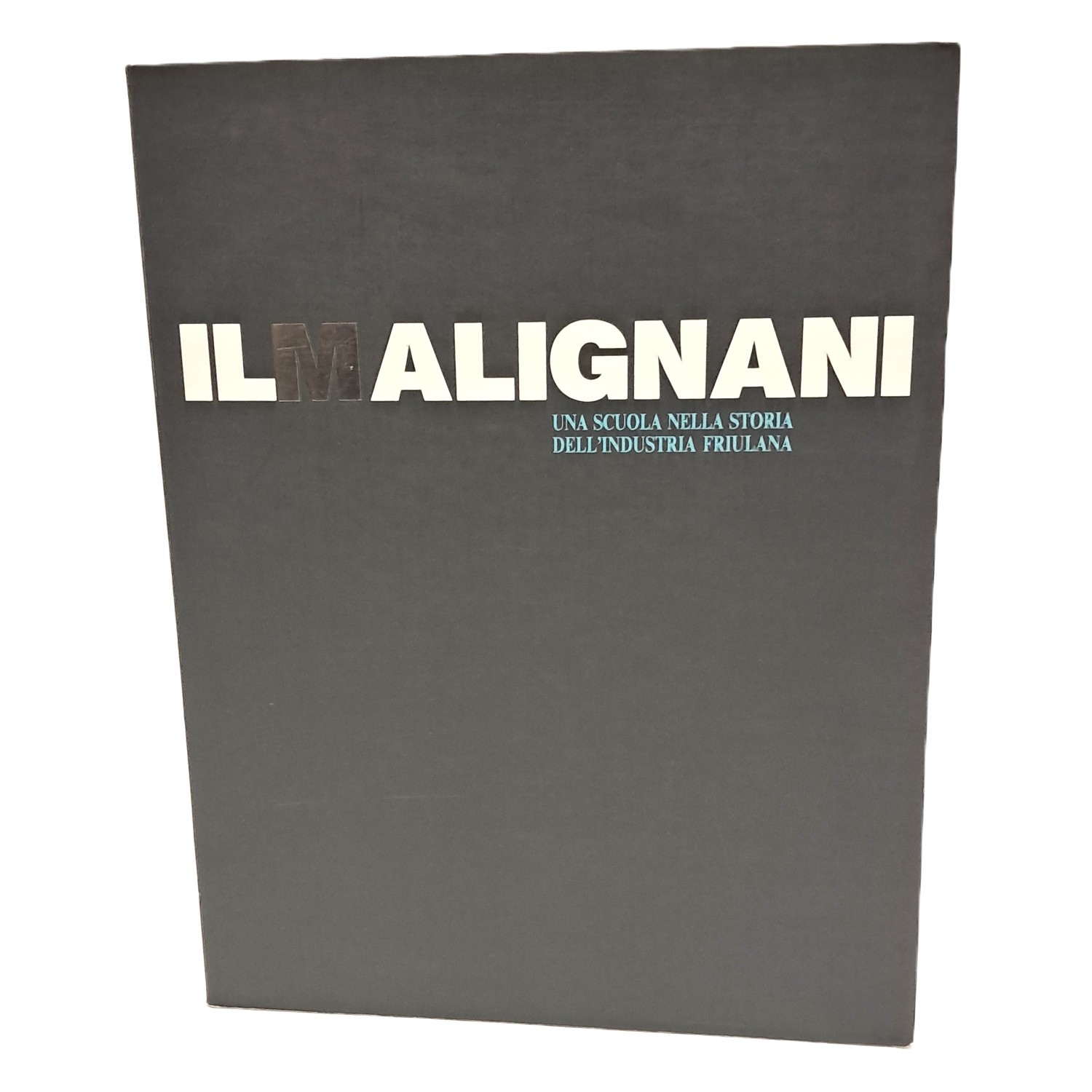 Il Malignani. Una scuola nella storia dell'industria friulana