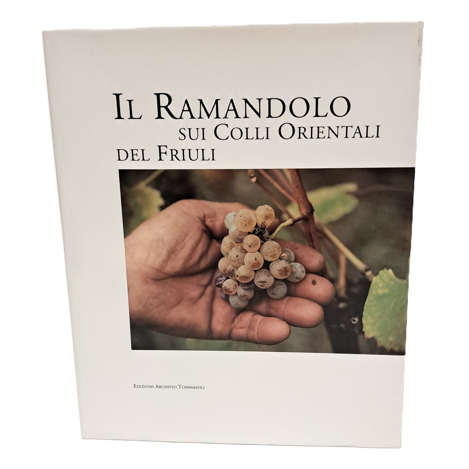 Il ramandolo sui colli orientali del Friuli