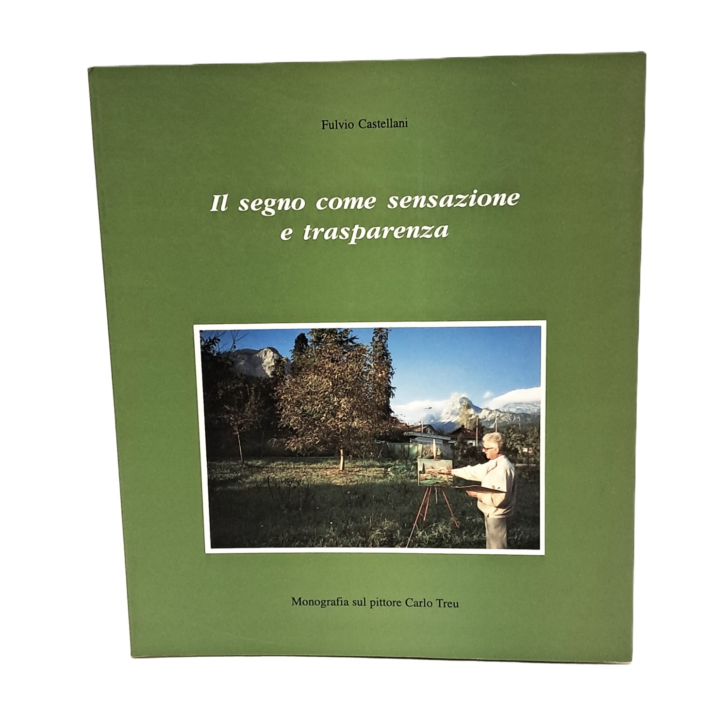 Il segno come sensazione e trasparenza: monografia sul pittore Carlo …