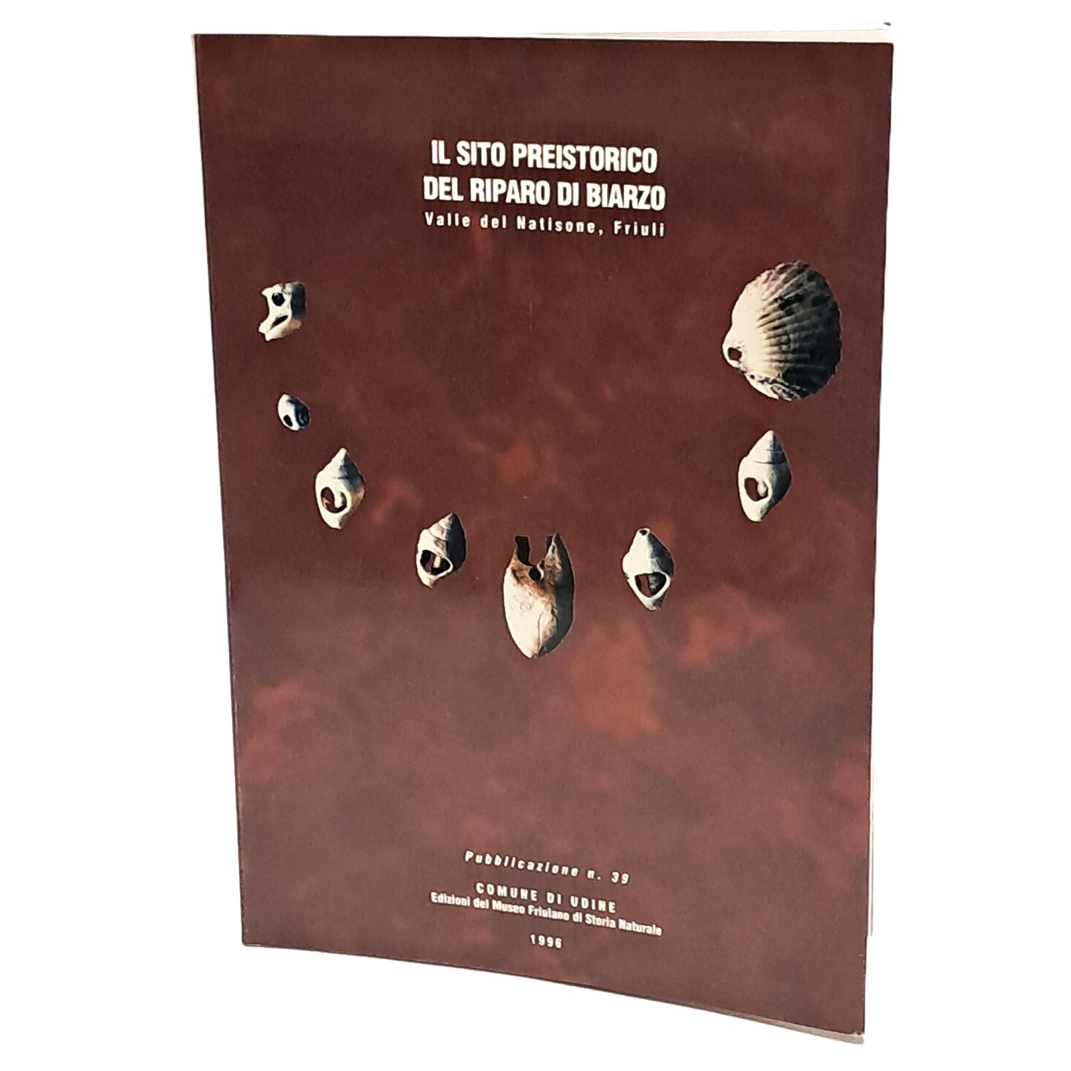 Il sito preistorico del riparo di Biarzo (valle del Natisone, …