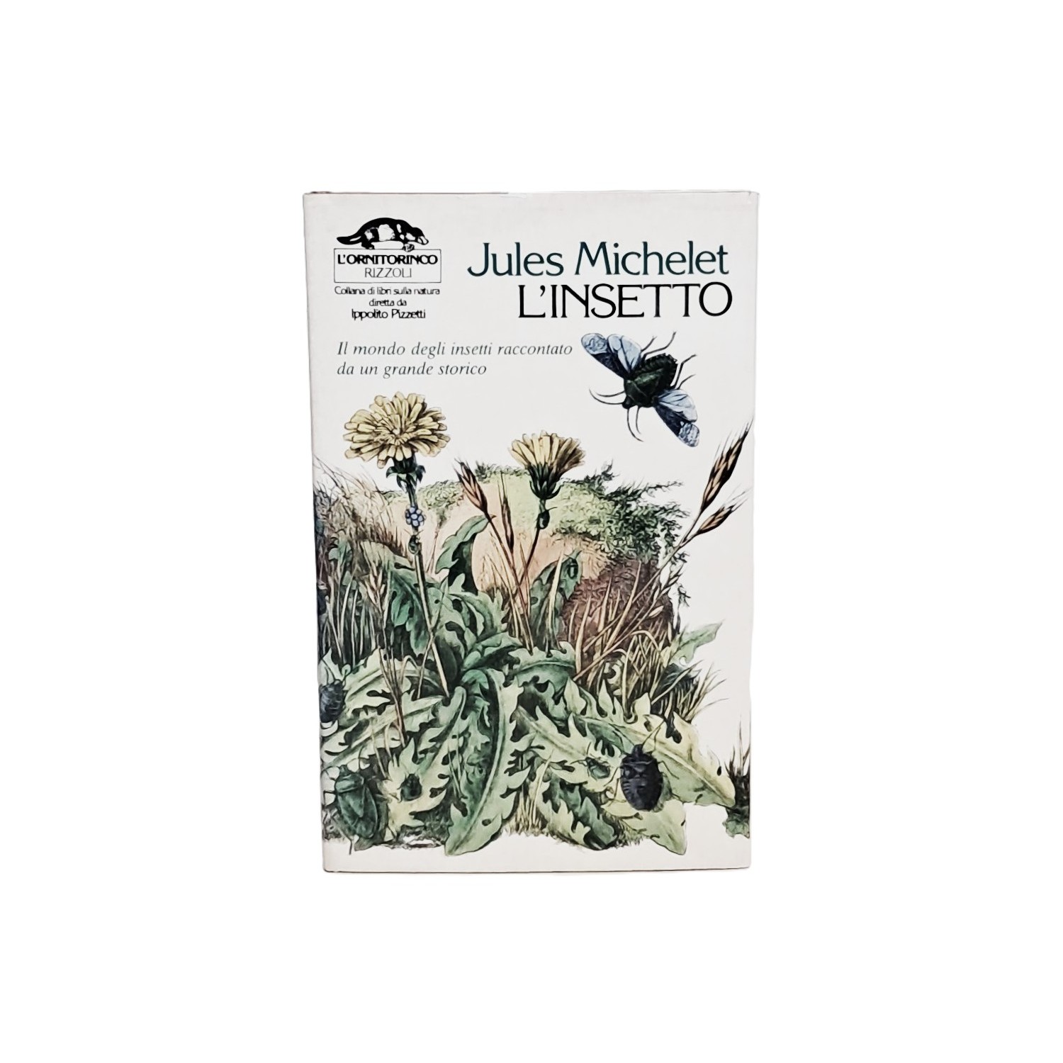 L'insetto. Il mondo degli insetti raccontato da un grande storico