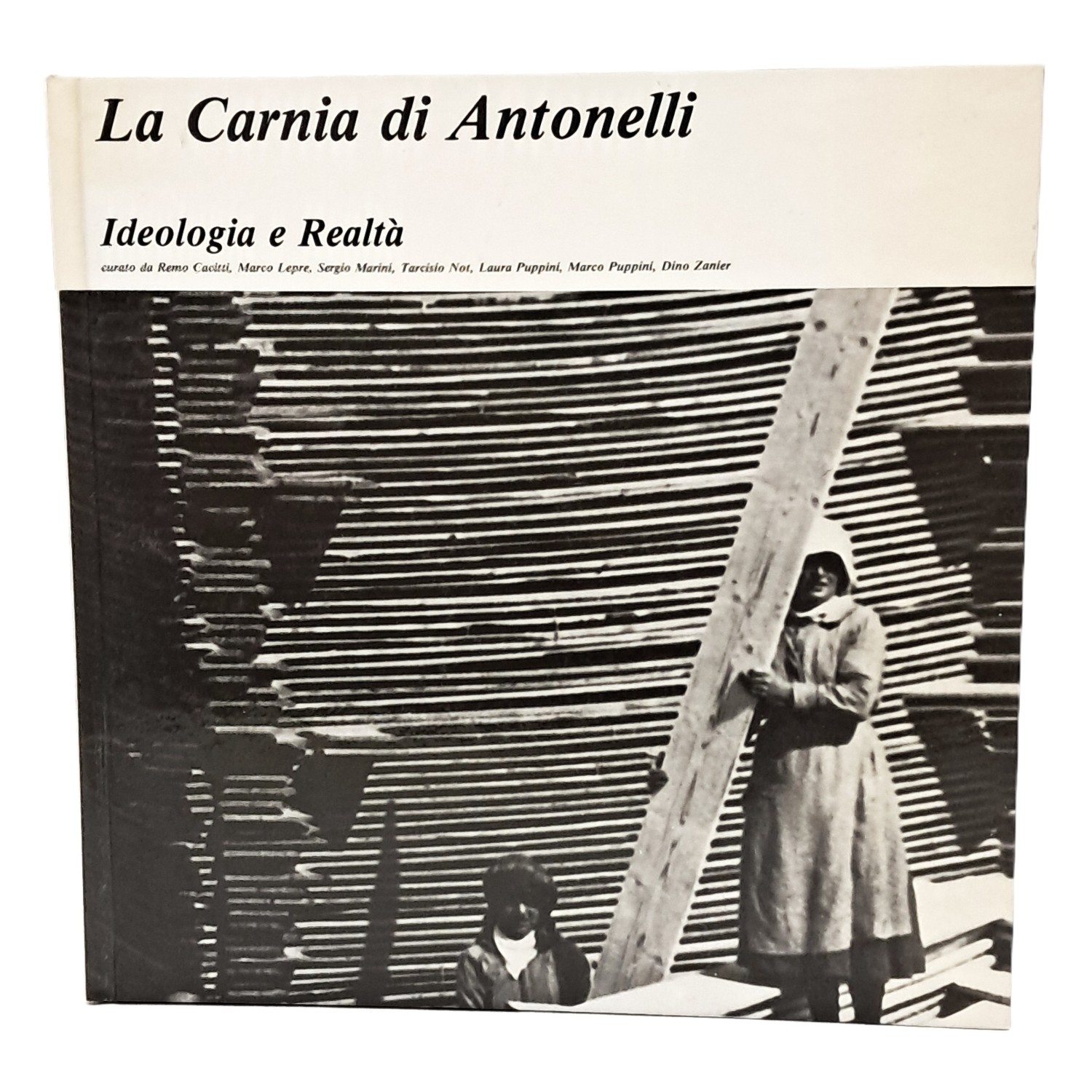 La Carnia di Antonelli. Ideologia e realtà