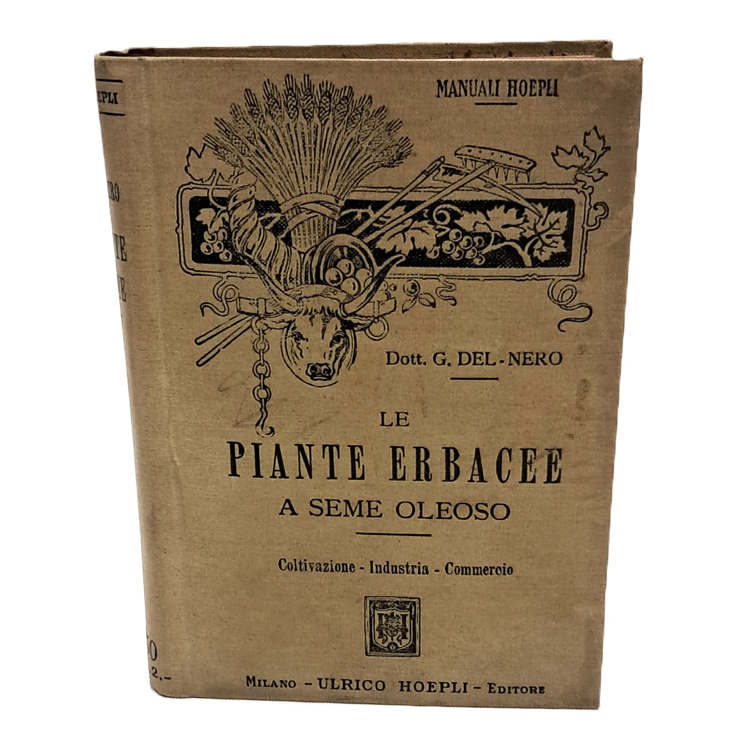 Le piante erbacee a seme oleoso