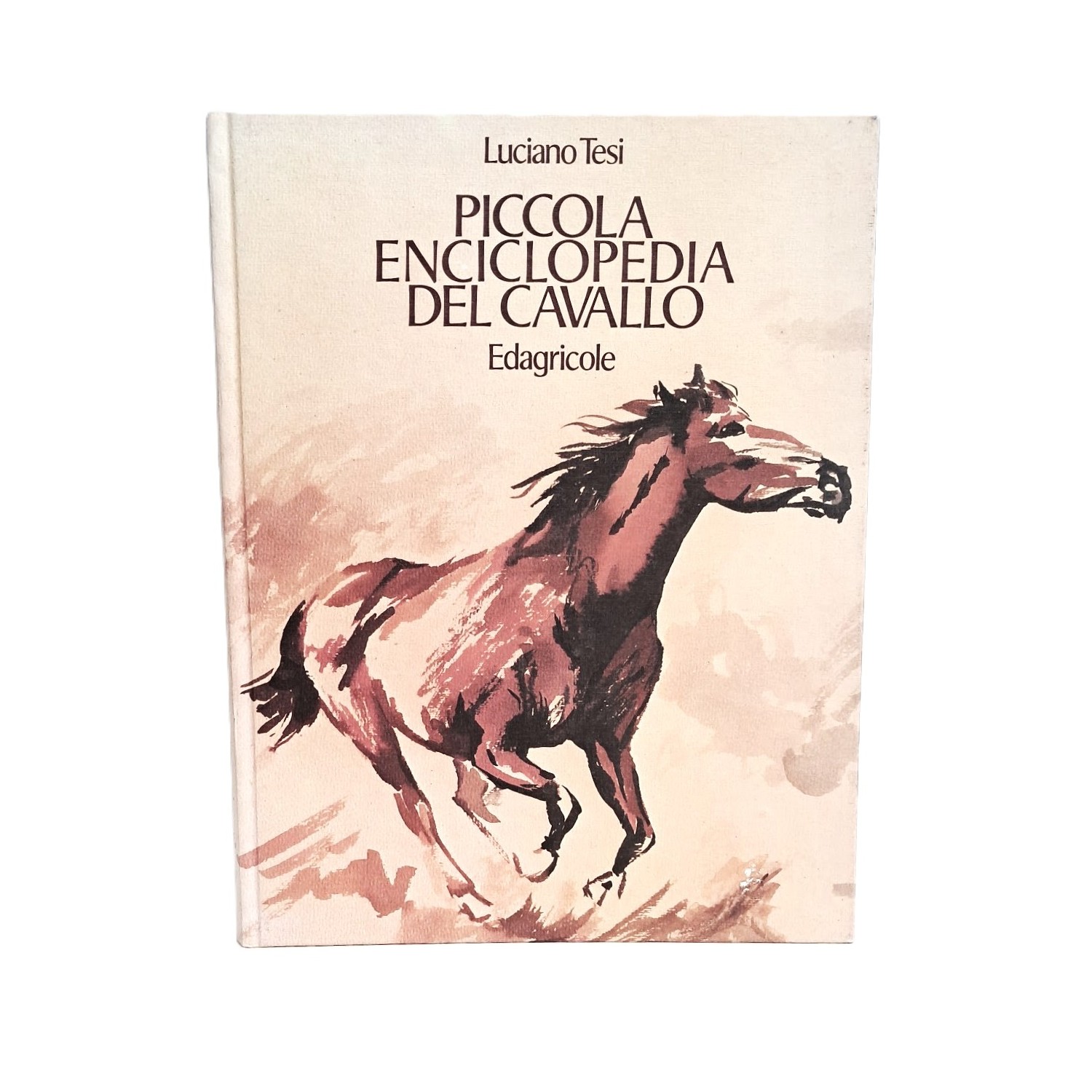 Piccola enciclopedia del cavallo