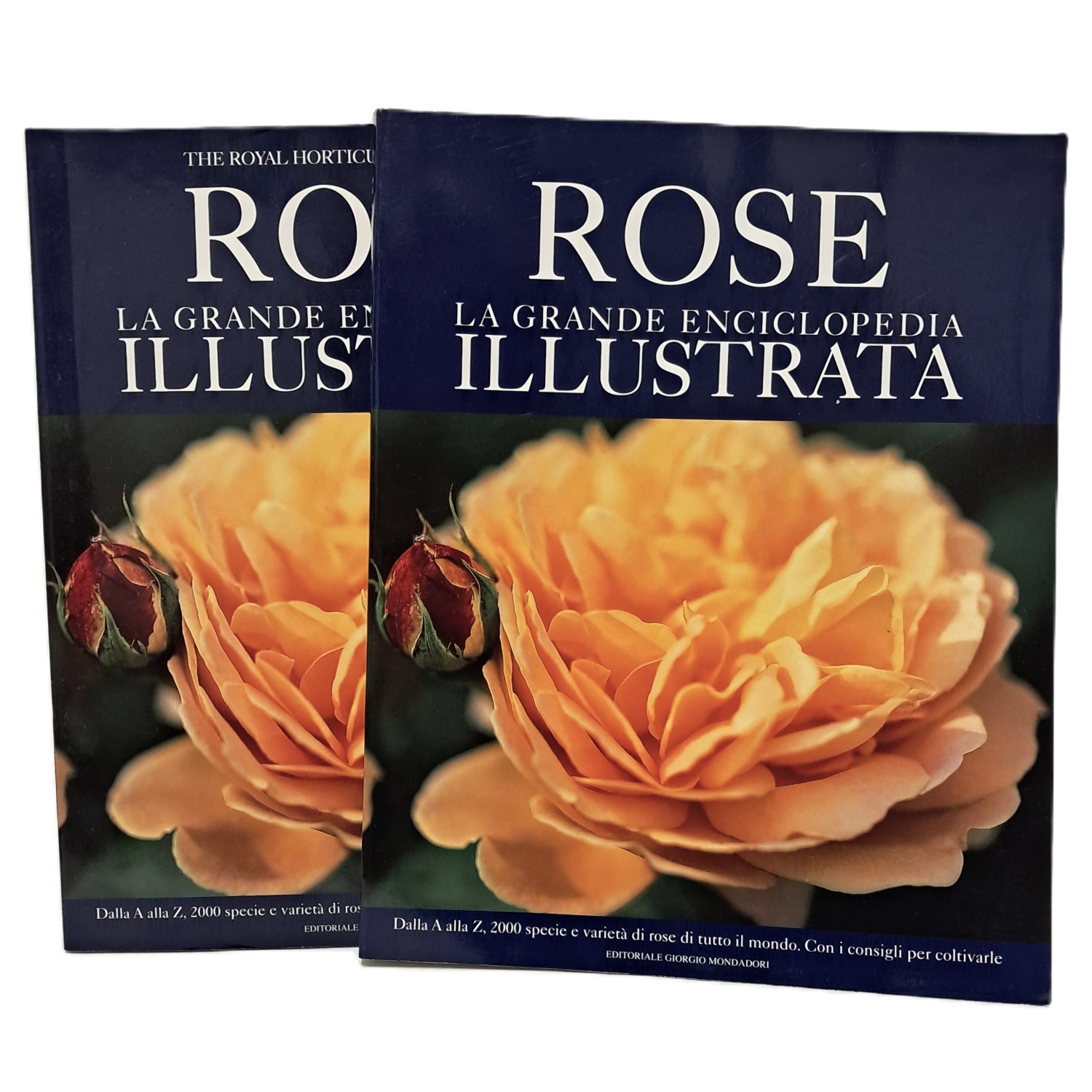 Rose la grande enciclopedia illustrata I-II