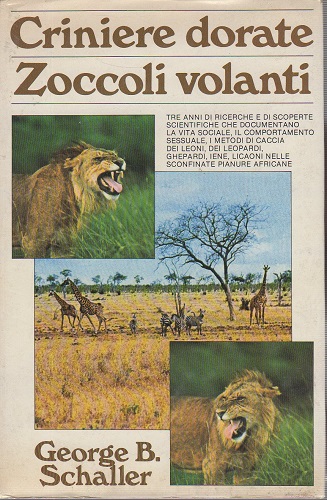 Criniere dorate zoccoli volanti