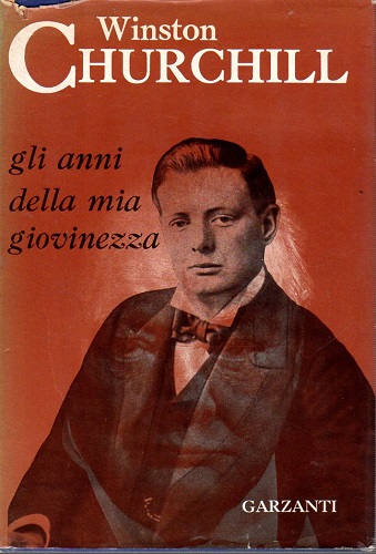 Gli anni della mia giovinezza