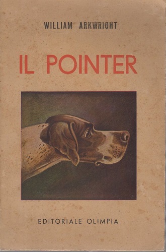 Il Pointer e i suoi predecessori