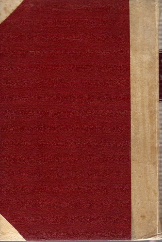 Nuovi studi su Dante