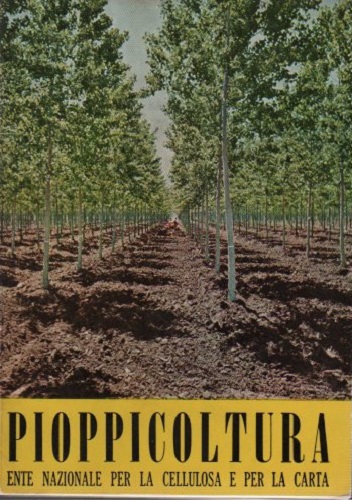 Pioppicoltura