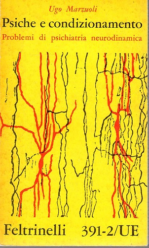 Psiche e condizionamento problemi di psichiatria neurodinamica
