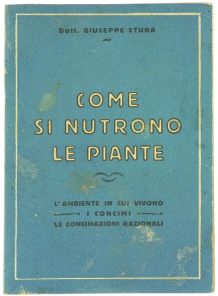 COME SI NUTRONO LE PIANTE. L'ambiente in cui vivono - …