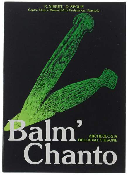 BALM' CHANTO: ARCHEOLOGIA DELLA VAL CHISONE. PRIMA CAMPAGNA DI SCAVI …