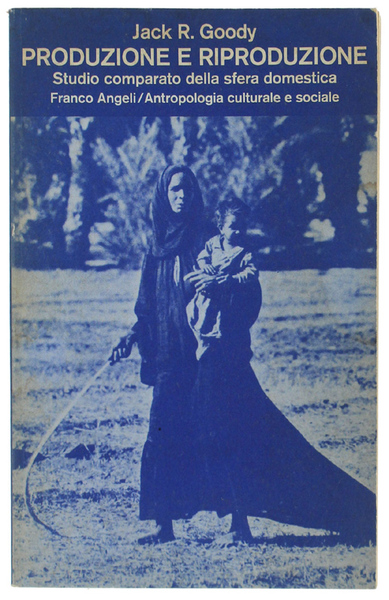 PRODUZIONE E RIPRODUZIONE. Studio comparato della sfera domestica.