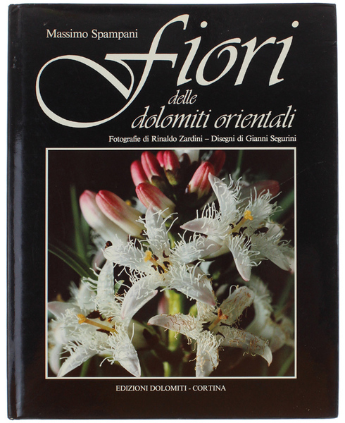 FIORI DELLE DOLOMITI ORIENTALI. Indicazioni botaniche per un invito alla …