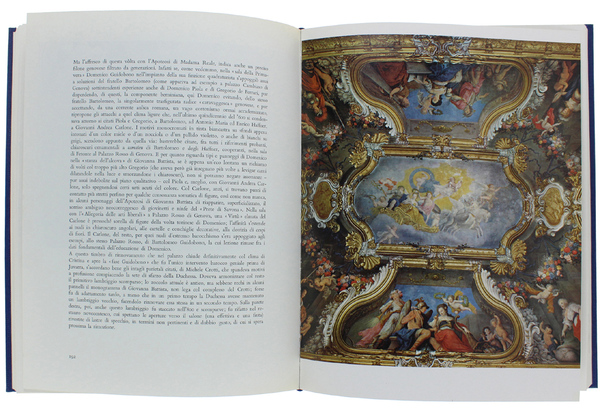 PALAZZO MADAMA IN TORINO.