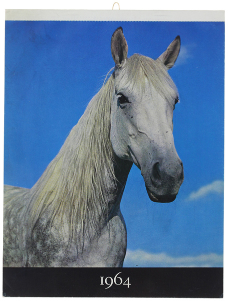 CAVALLI: CALENDARIO FOTOGRAFICO DA PARETE 1964.