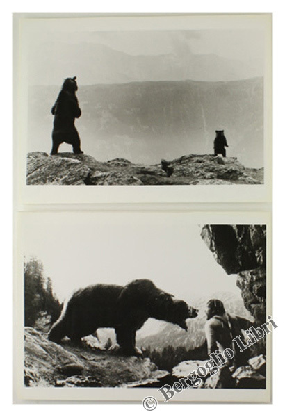 L'ORSO - L'OURS: DUE FOTO ORIGINALI.