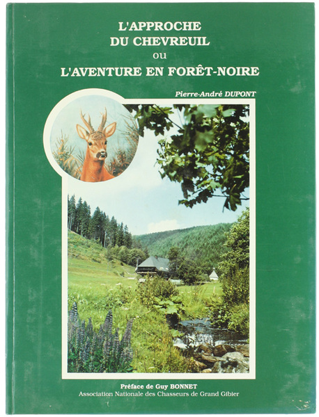 L'APPROCHE DU CHEVREUIL OU L'AVENTURE EN FORET-NOIRE.