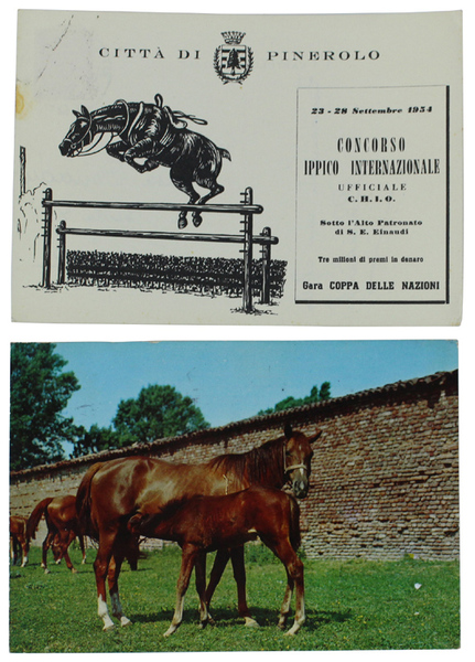 IPPICA: Concorso Ippico Internazionale 23-28 Settembre 1954 (cartolina viaggiata)