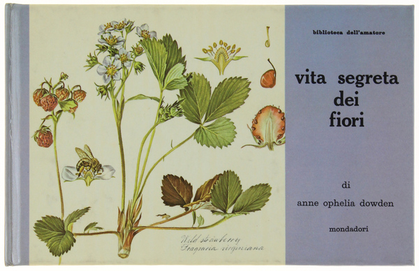 VITA SEGRETA DEI FIORI.