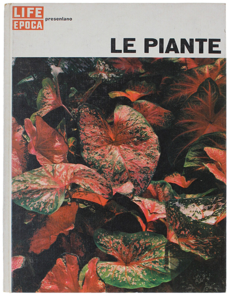 LE PIANTE.