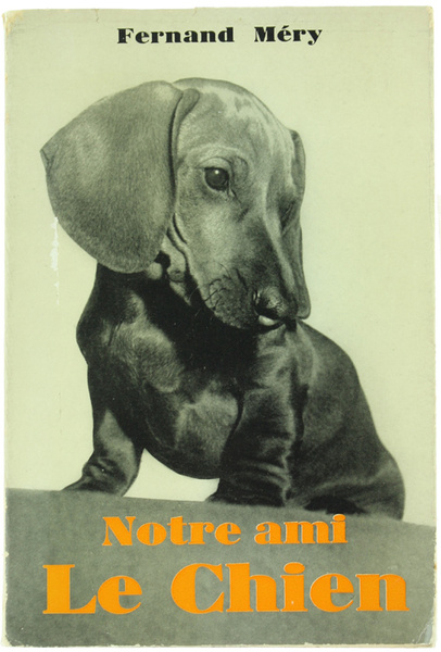NOTRE AMI LE CHIEN (Avoir un chien).