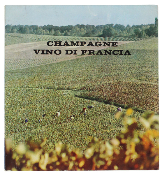 CHAMPAGNE VINO DI FRANCIA.