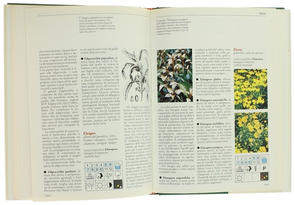 FIORI & PIANTE MESE PER MESE. [completa]