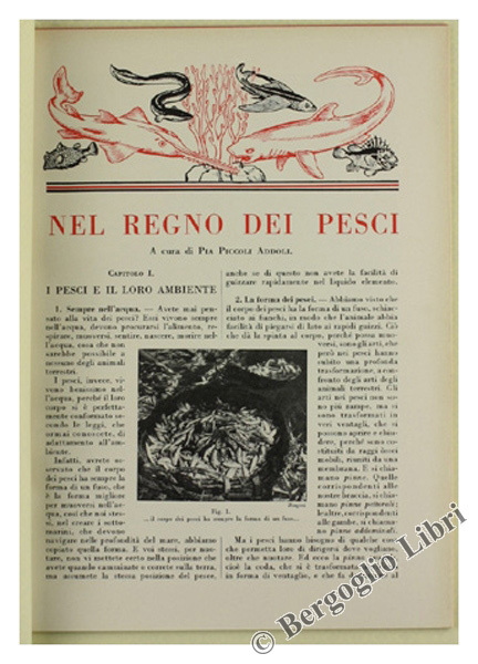 NEL REGNO DEI PESCI.