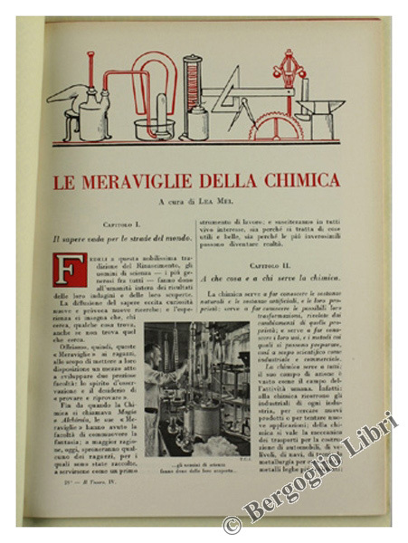 LE MERAVIGLIE DELLA CHIMICA.