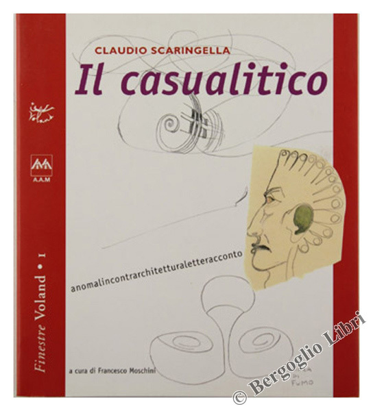 IL CASUALITICO.