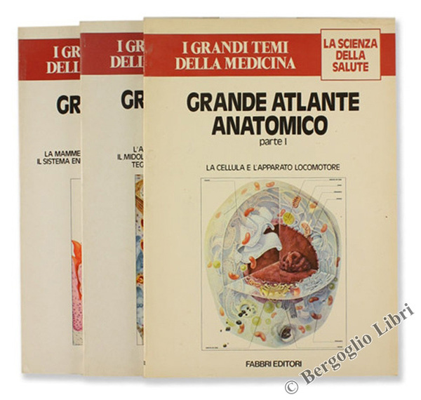 GRANDE ATLANTE ANATOMICO.