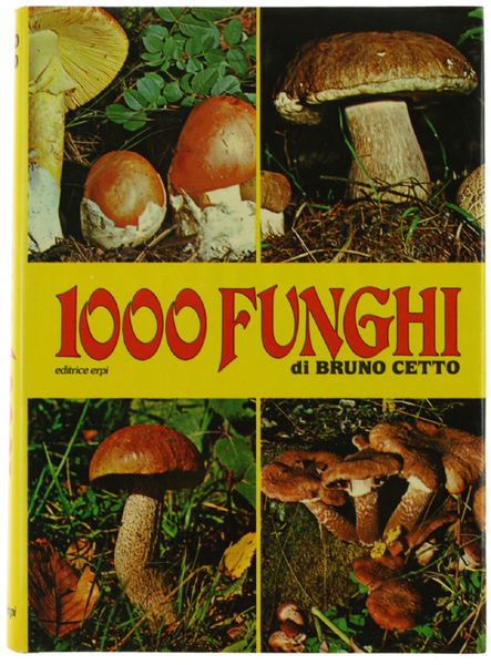 1000 FUNGHI.