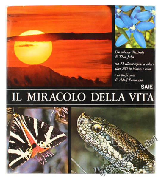 IL MIRACOLO DELLA VITA.