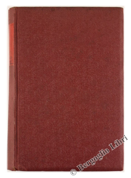 LA ROCCA SULL'ONDA. Romanzo.