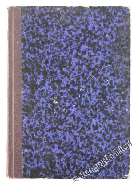 NICCOLO' DE' LAPI ovvero i Palleschi e i Piagnoni.