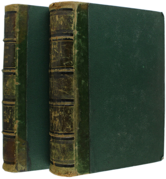 DELL'ITALIA. Europa: Volume 2 (parte 1 e 2). Fa parte …