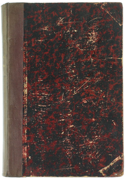 GLI ANGELI DELLA TERRA. Romanzo illustrato.