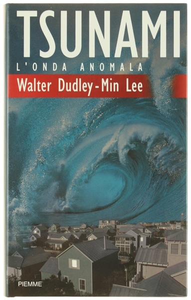 TSUNAMI - L'ONDA ANOMALA.