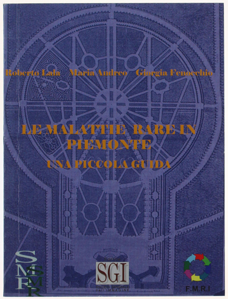 LE MALATTIE RARE IN PIEMONTE: UNA PICCOLA GUIDA.