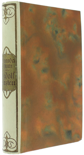 ERINNERUNGEN VON LUDOLF URSLEU DEM JÜNGEREN. Roman.