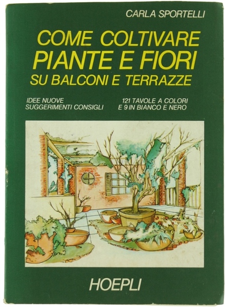 COME COLTIVARE PIANTE E FIORI SU BALCONI E TERRAZZE. Idee …