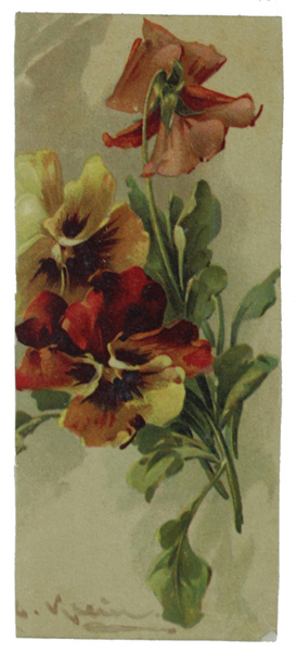 VIOLE DEL PENSIERO. Cromolitografia a colori firmata Catherine Klein. Segnalibro …