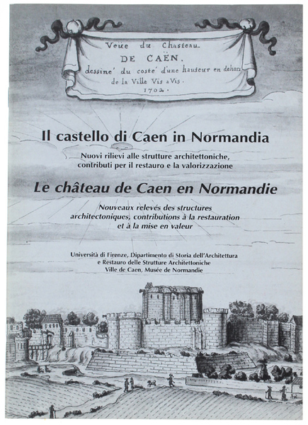 IL CASTELLO DI AEN IN NORMANDIA. Nuovi rilievi alle strutture …