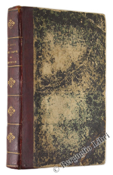 UNE GRAPPE DE GROSEILLE.