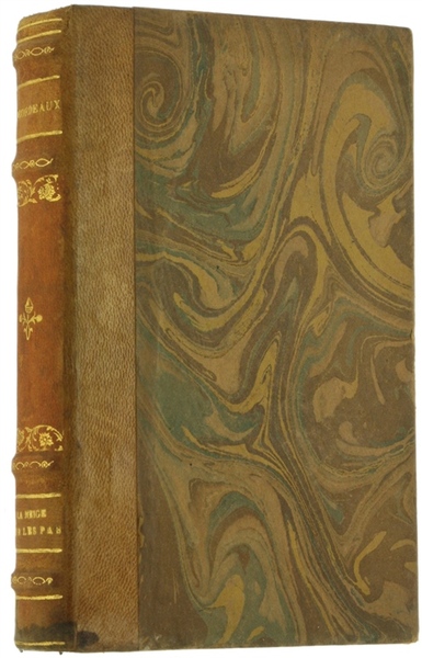 LA NEIGE SUR LES PAS.